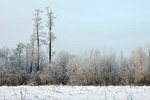 Schneelandschaft Winterimpression