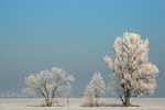 Schneelandschaft Winterimpression 