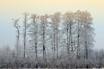 Schneelandschaft Winterimpression