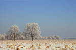 Schneelandschaft Winterimpression