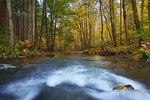 Hafenlohr im Herbst Fluss Spessart