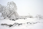 Großer Feldberg im Winter