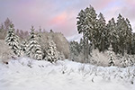 Winterlandschaft Taunus (2015-02-10)
