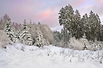 Winterlandschaft Taunus