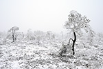 Winterlandschaft Rhön