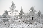 Lange Rhön Winter Landschaft