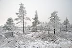 Lange Rhön Winter Landschaft (2015-02-10)